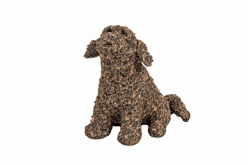 Cockapoo ebay sales
