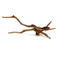 Extra Large Pine Spider Wood/Driftwood/Natural Aquarium Aquascape-XL 23.5"-29.5"