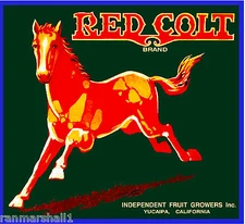 Yucaipa San Bernardino Red Colt Horse Orange Citrus Fruit Crate Label Art Print