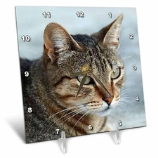 3dRose dc_16934_1 Desk Clock, Tabby Cat Portrait, 6 by 6-Inch 6x6 Desk Clock