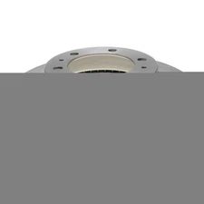 Disc Brake Rotor-R-Line Raybestos 980670R