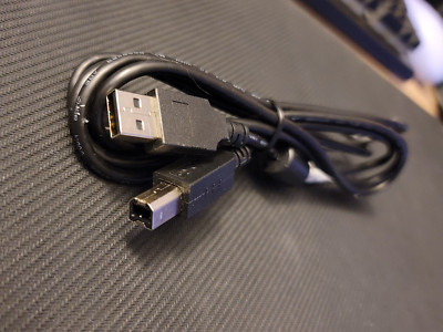 USB A Male to B Male Printer Cable Approximately 5ft HP Used