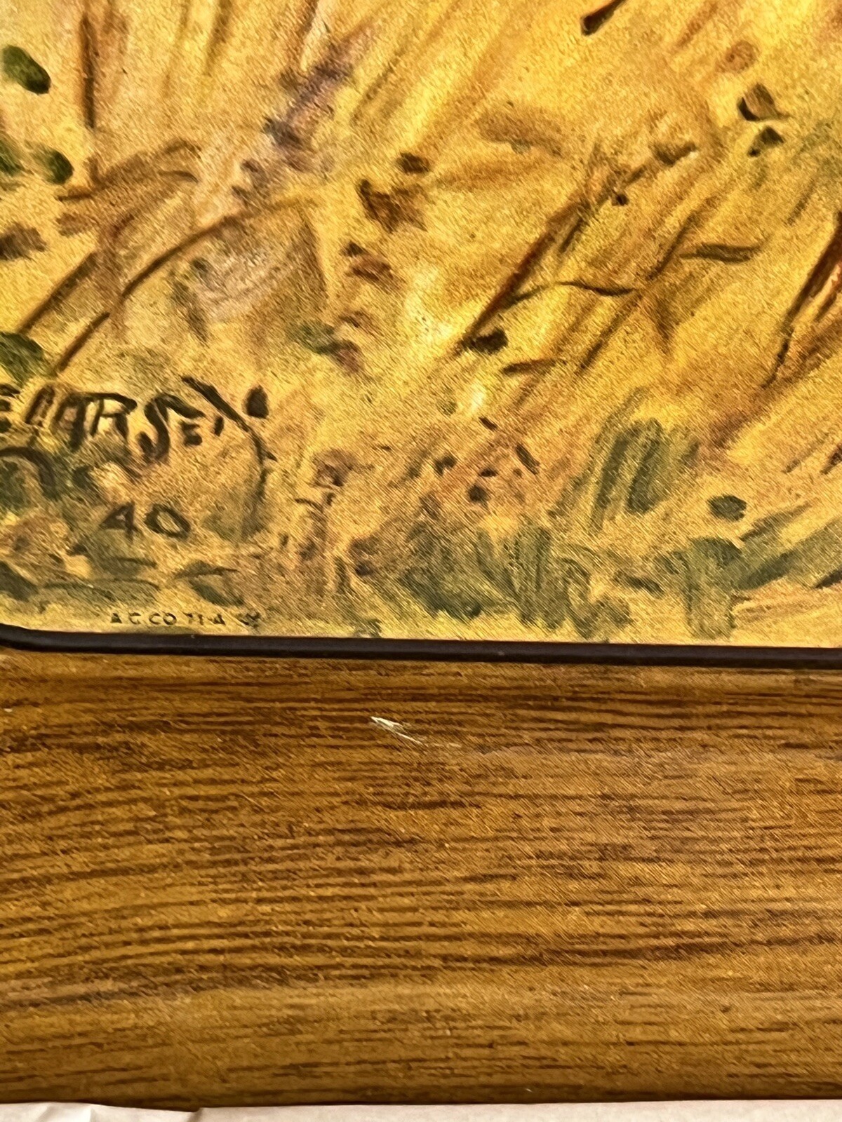 Picture 12 of 17