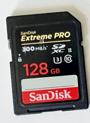 SanDisk 128GB Extreme PRO UHS-II SDXC Memory Card 619659151164| eBay