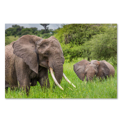 Postereck 3278 Poster Leinwand Elefanten, Tier Mutter Kind Asien Safari Wald