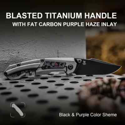 Kizer Cutlery Feweed Folding Knife 2.98 CPM S35VN Steel Blade Titanium/CF Handle