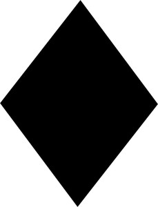s l300