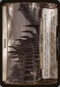 Stensia (Planes) [Planechase 2012 Planes] Near Mint MTG