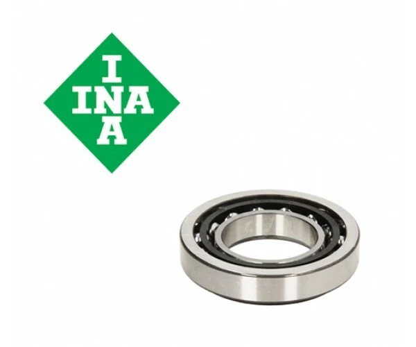 INA F-239513.01.SKL (LUK 712 1577 10),BMW Deep Groove Ball Bearing
