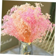 3000 Dried Babys Breath Flowers Pink  White-17'' Baby's Breath Bulk Bouquet,
