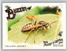 2024 Topps Allen & Ginter #BUZ-13 Yellow Jacket Buzzin'