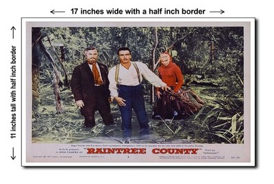 Raintree County 1957 - 7 - 11x17 Poster Art Print