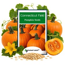 Connecticut Field Pumpkin Seeds | Non-GMO | Heirloom | Instant Latch Orange