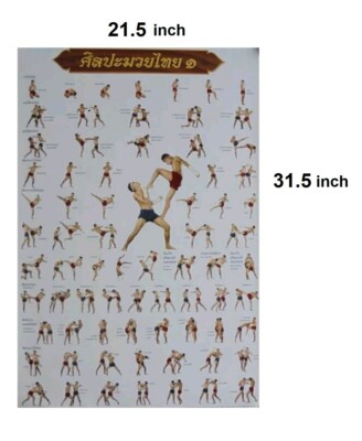 x3 Muay Thai Kick Boxing Poster Technical Training Tactic Fighter Martial Gym/