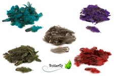 Fasanenfedern 3-8cm Bastelfedern Vogelfedern Natur Fasan Federn Schmuck Deko NEU