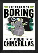 Chinchilla Lover Framed Wall Art Poster Canvas Print Picture