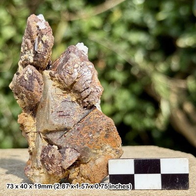 RAR: Rutil mit Siderit | Skardu Pakistan Specimen | Titandioxid