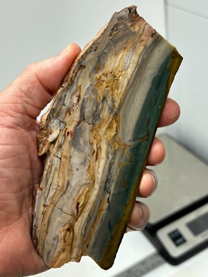 Gary Green Caldera Freedom Jasper Slab Cabbing Lapidary Combo Ship Avail