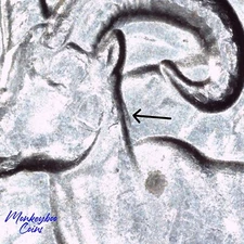 2012 P Denali Quarter - Doubled Die Variety WDDR-003 - Rare Error Coin