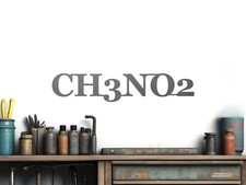 Ch3no2 -- Metal Sign Nitro Methane Gasser Straight Axle Hot Rod Garage Art Drag
