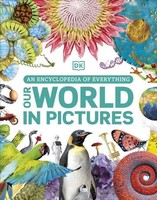 Our World in Pictures | A Visual Encyclopedia Of Everything For Kids | DK | Buch