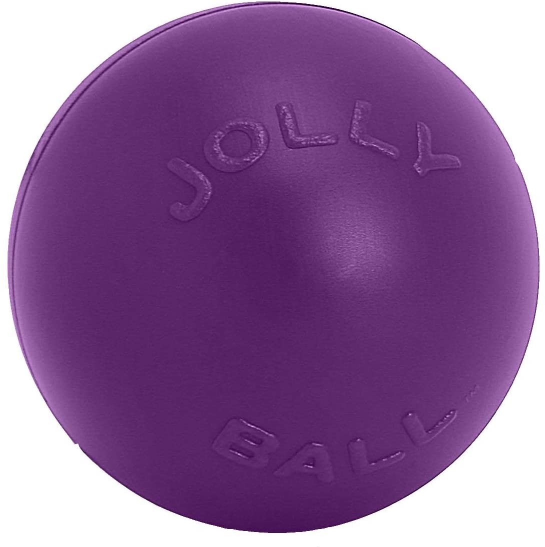 Jolly Pets Push-n-Play Purple 10 inch Ball Large Dog Toy