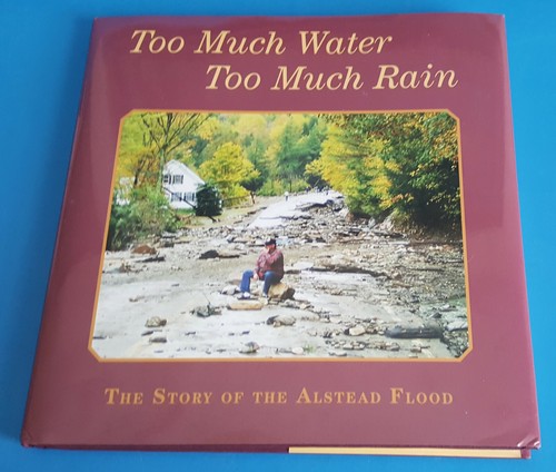 Too Much Water Too Much Rain By Cassandra Kreek, Emily K. Kreek & Ian D. Relihan - Picture 2 of 12