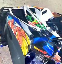 Yamaha Raptor 700R 13 and up CUSTOM GRAPHICS KIT VEGUETA DRAGON