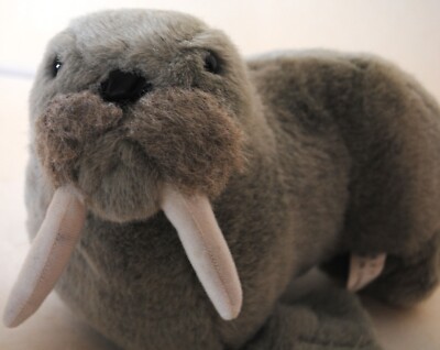 Walrus Plush- 8''x10''