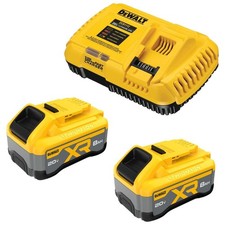 DEWALT 20V MAX XR 8.0Ah Battery (2 Pack) With Fast Charger