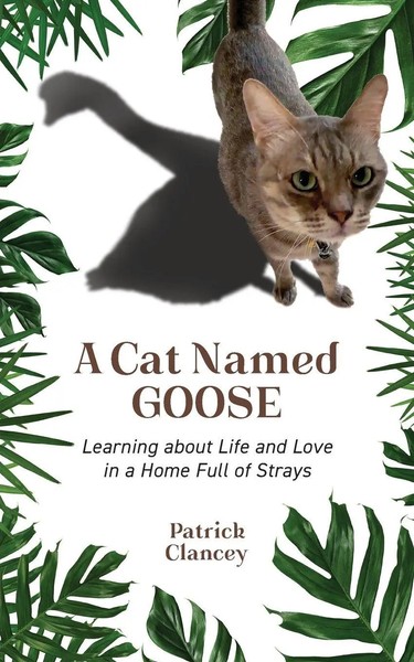 Patrick Clancey | A Cat Named Goose | Taschenbuch | Englisch (2024)-image