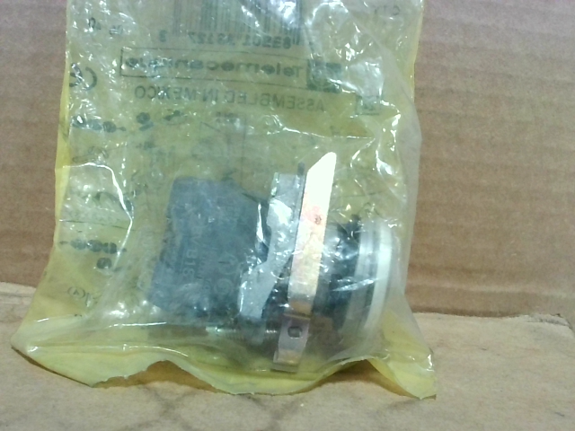 Telemecanique XB4BVB1 White LED Pilot Light 24VDC-New In Box img