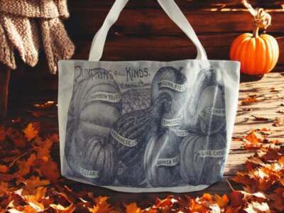 Market Tote Bag Vintage Pumpkins Vegetable Seed Advertising NWT Creative Co Op