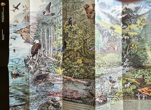 Unigrid 2026 OLYMPIC NP - Washington NATIONAL PARK SERVICE UNIGRID BROCHURE/MAP ...