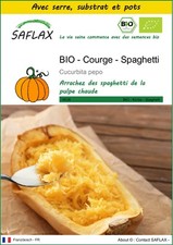 SAFLAX - Kit de culture - BIO - Courge - Spaghetti - 5 Graines