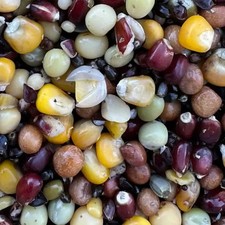 Premium Spod Mix , stabilised (shelf life),  2kg, fishing particle 5.25 per kilo