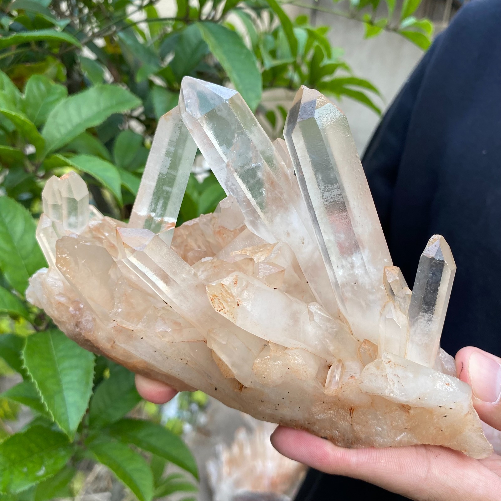 1.7lb Natural Clear White Crystal Quartz Cluster Rough Healing Specimen