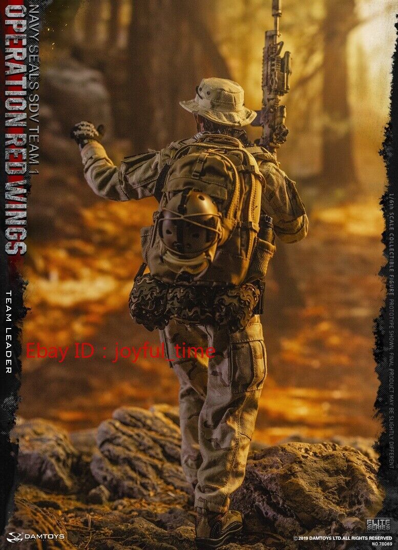 DAMTOYS 1/6 Navy Seals Sdv Team 1 Team Leader Operation Red Wing