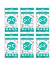 PUR Xylitol Chewing Gum WINTERGREEN 55 Pieces, 6 Pack Sugarless Vegan Pure