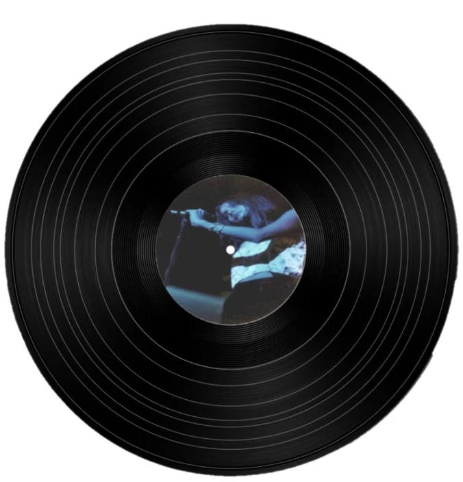 Going Home - Hope Sandoval & Sylvia Gomez  12 inch Vinyl Record - Image 3 of 3