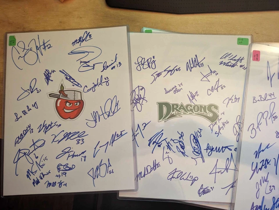 Lote de autógrafos firmados 2012 ligas menores 8x10 Foto 4 de 4