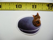 FUNNY CAT KITTEN SMALL STICKER DECAL NICE CARRIER PET FELINE FUNNY