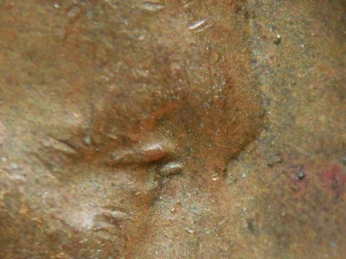 HIGH GRADE MINT ERROR 1954-D  LINCOLN WHEAT CENT DDO#1   XF