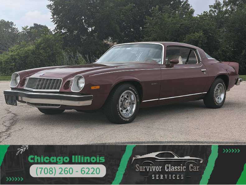 1976 Chevrolet Camaro for sale in Homer Glen Illinois