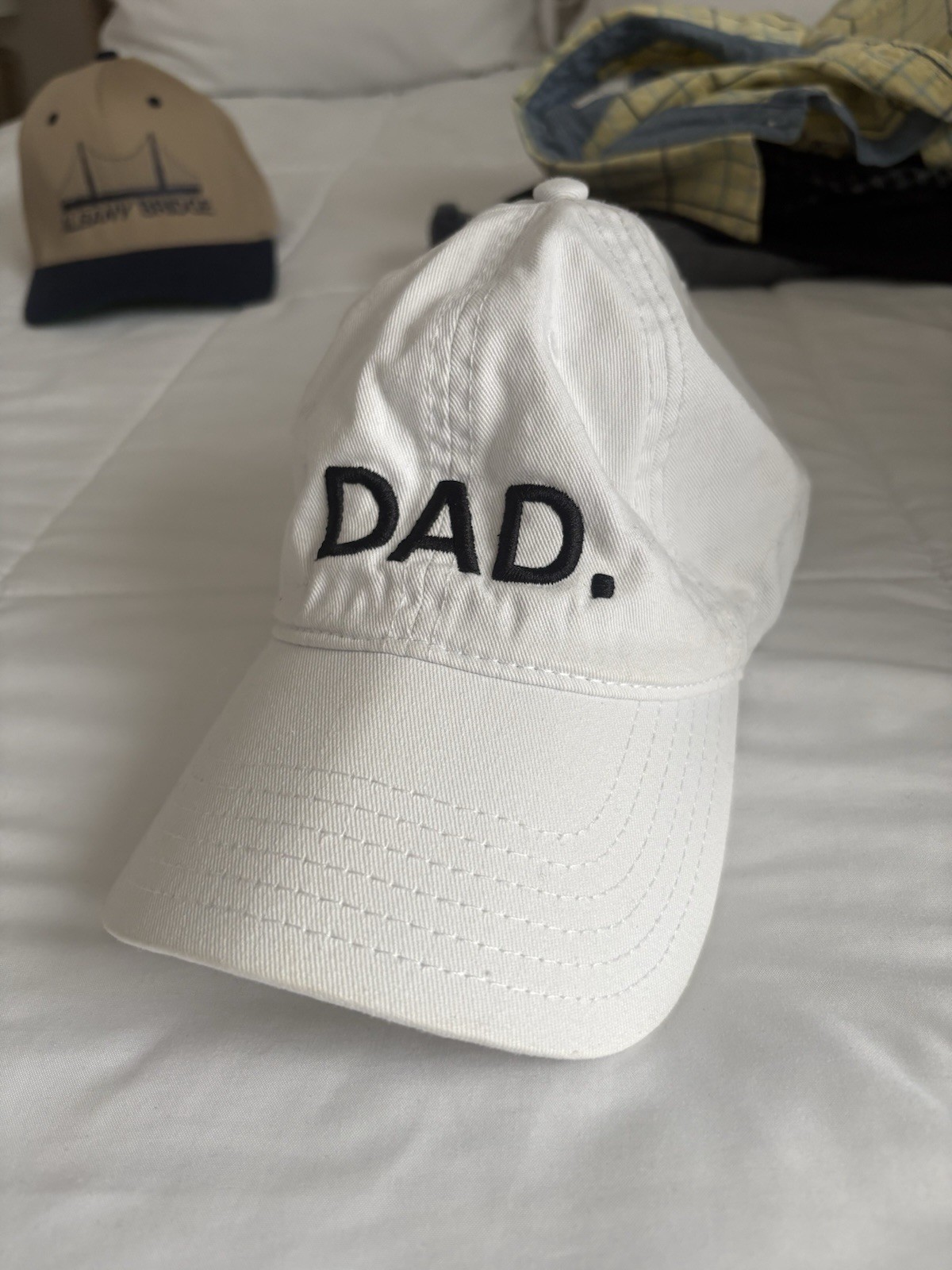 Dad Hat - image 1