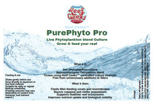 Reef Geeks  Marine Phytoplankton 2 species blend. Feed your Reef