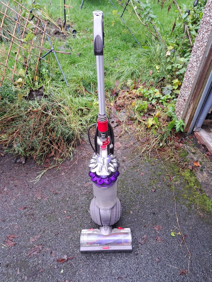 Dyson UP22 Light Small Ball Allergy Ball Upright Vacuum Cleaner Anilam Good