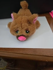 7" Cutetitos Pizzaitos"Purrito Catito"Brown Plush Basic Fun 2021 