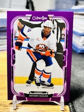 2025-26 O-Pee-Chee Anthony Duclair Purple Border SP /49 #233 OPC