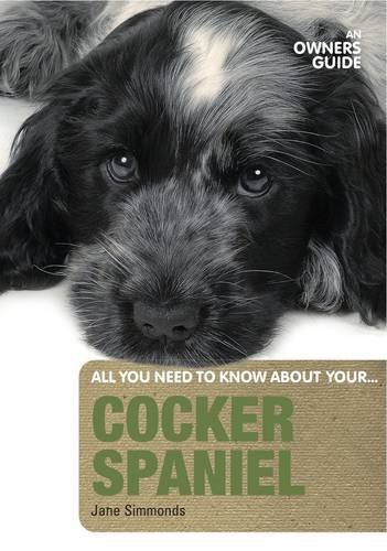 c*cker Spaniel: An Owner's Guide (All You Need to Know About Yr)